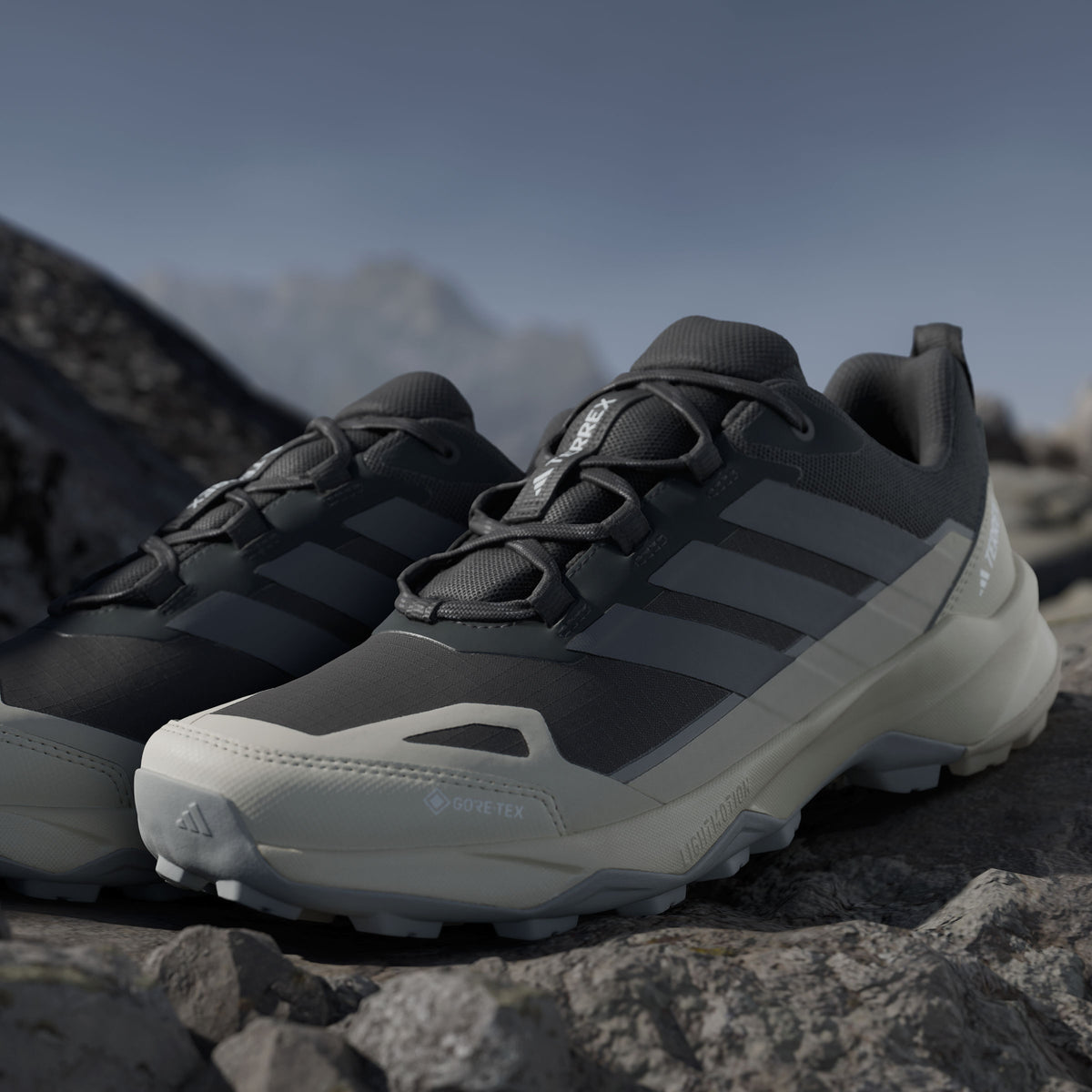 Adidas Terrex Skychaser AX5 GTX Sneakers - Black / Carbon - view 8