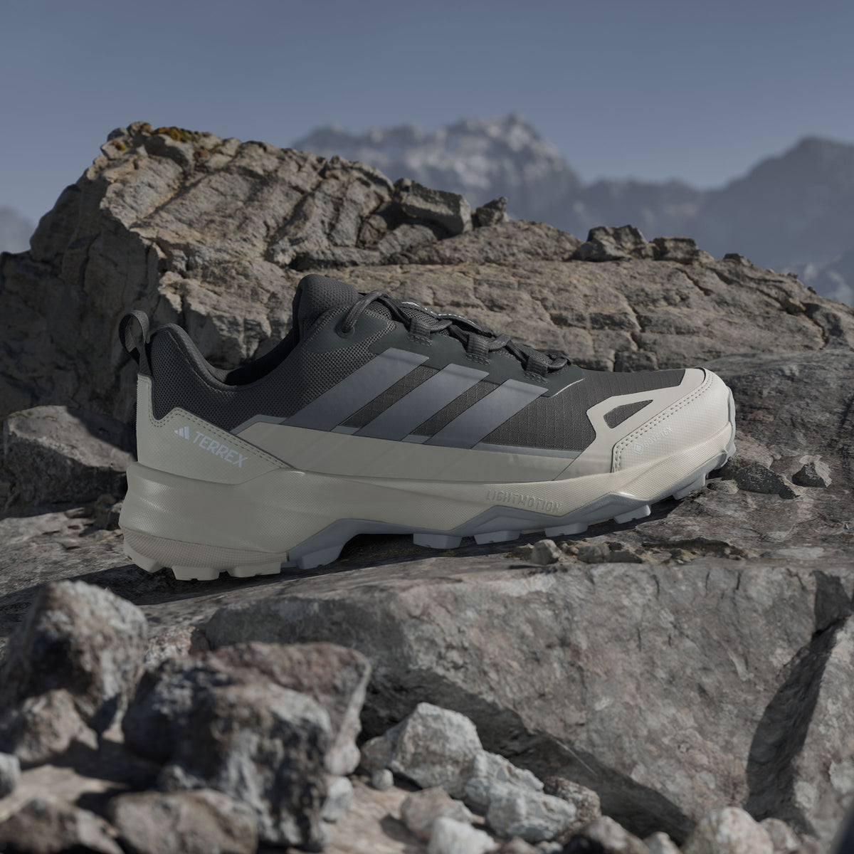 Adidas Terrex Skychaser AX5 GTX Sneakers - Black / Carbon - view 1