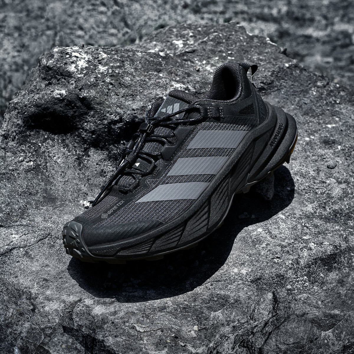 Adidas Terrex Freehiker SL GTX Sneakers - Carbon / Dark Grey / Black - view 1