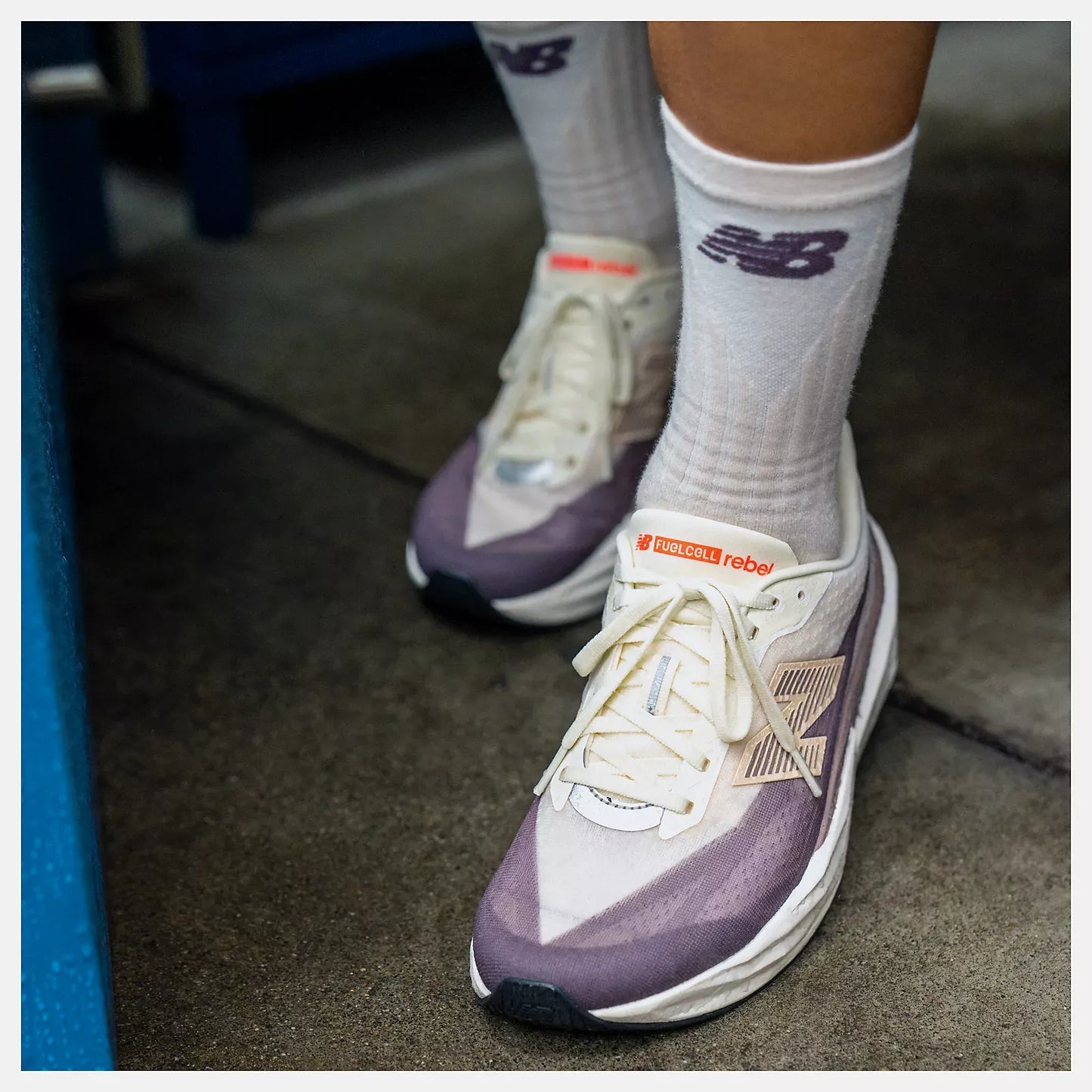 FuelCell Rebel v5 chaussures